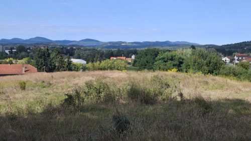 15. šetnica “Po dragomu kraju”