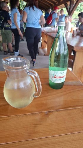 15. šetnica “Po dragomu kraju”