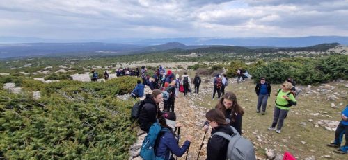 Krk- Dječja pl. škola