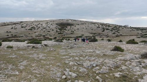 Krk- Dječja pl. škola