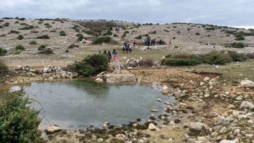 Krk- Dječja pl. škola