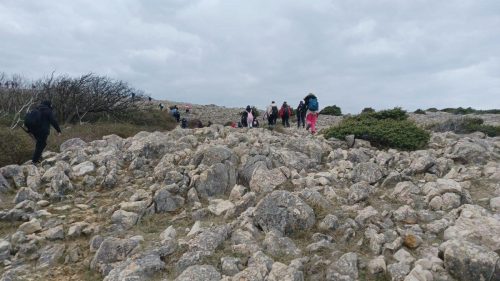 Krk- Dječja pl. škola