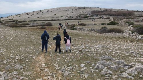 Krk- Dječja pl. škola