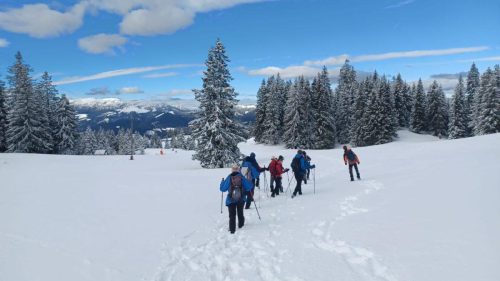Mozirska koča i Golte