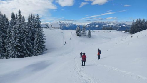 Mozirska koča i Golte