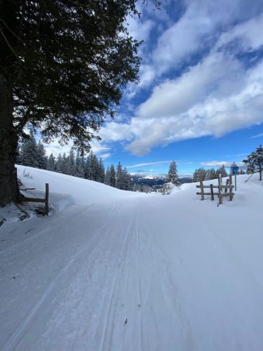 Mozirska koča i Golte