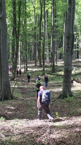 Daruvar, Crni vrh, Petrov vrh