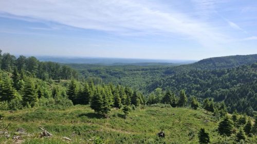 Daruvar, Crni vrh, Petrov vrh