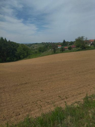 Daruvar i Petrov vrh