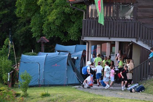 Picelj, kampranje