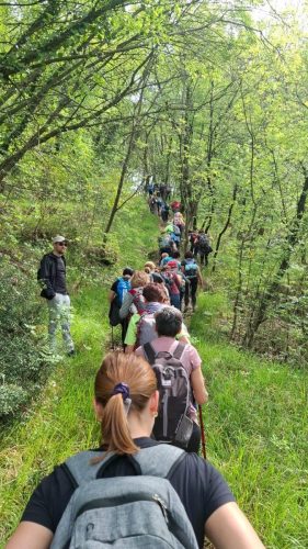Kanjon Rječine i Trsat