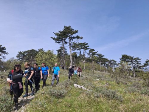 Kanjon Rječine i Trsat