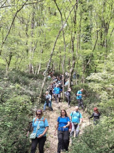 Kanjon Rječine i Trsat