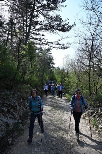Kanjon Rječine i Trsat