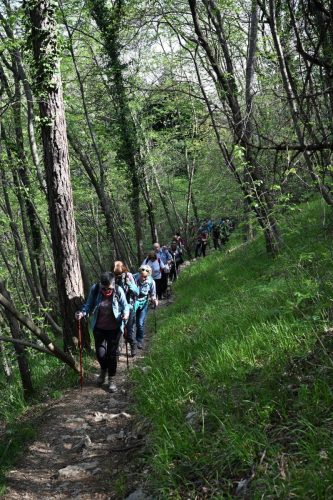 Kanjon Rječine i Trsat