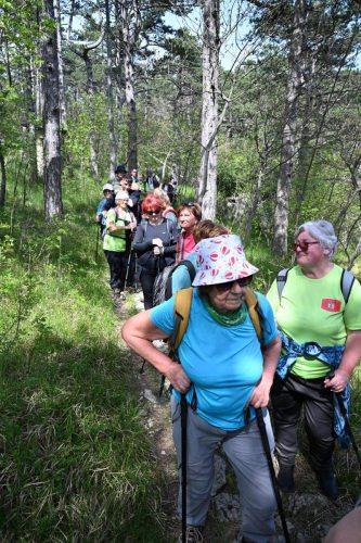 Kanjon Rječine i Trsat
