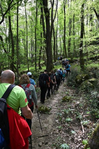 Kanjon Rječine i Trsat