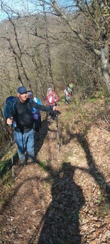 Strahinjčica-15-3-2026