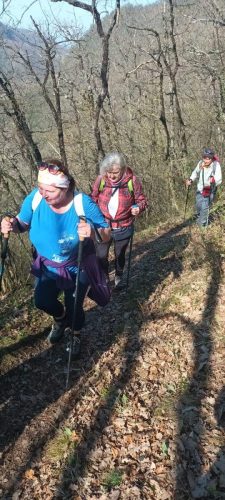 Strahinjčica-15-3-2026