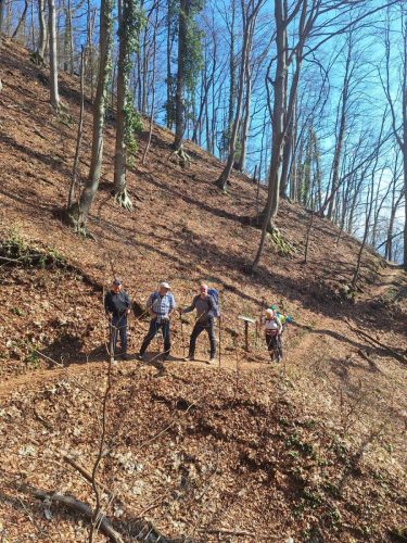 Strahinjčica-15-3-2026