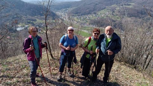 Strahinjčica-15-3-2026