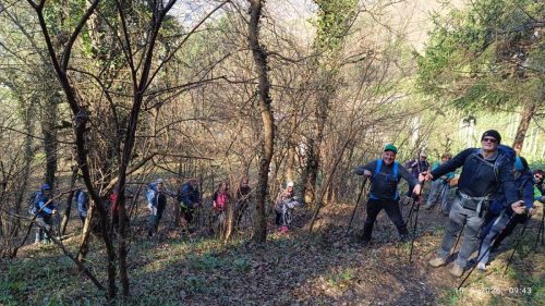 Strahinjčica-15-3-2026