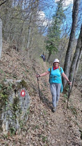 Strahinjčica-15-3-2026