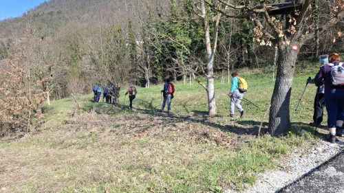 Strahinjčica-15-3-2026