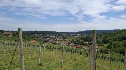Tradicionalni pohod „Za dušu i tijele – Mirko Fulir“
