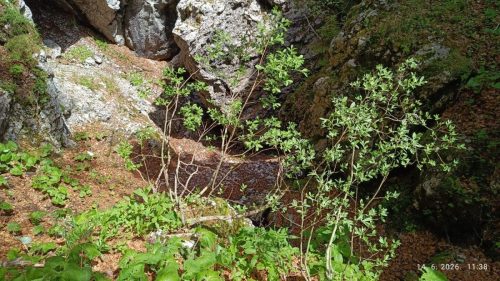 Zavižan i okolni vrhovi