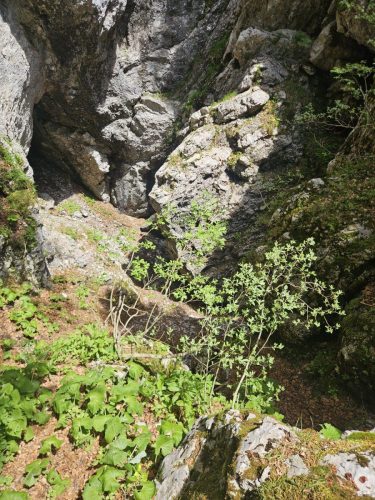 Zavižan i okolni vrhovi